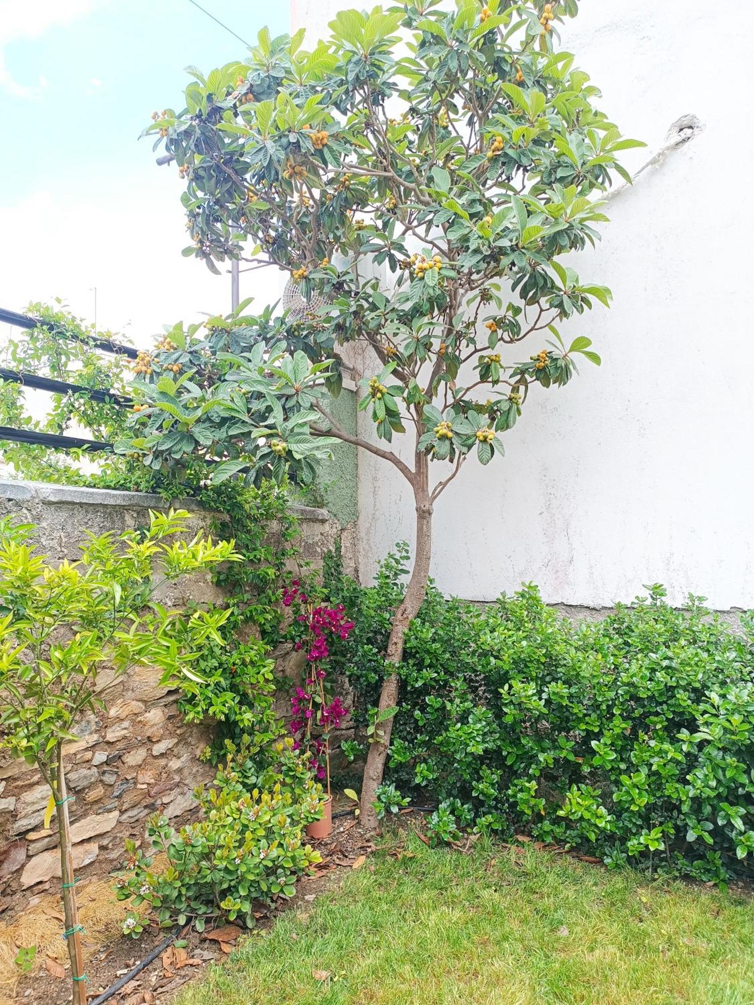 Betty'S Garden House Villa Nea Anchialos Room photo