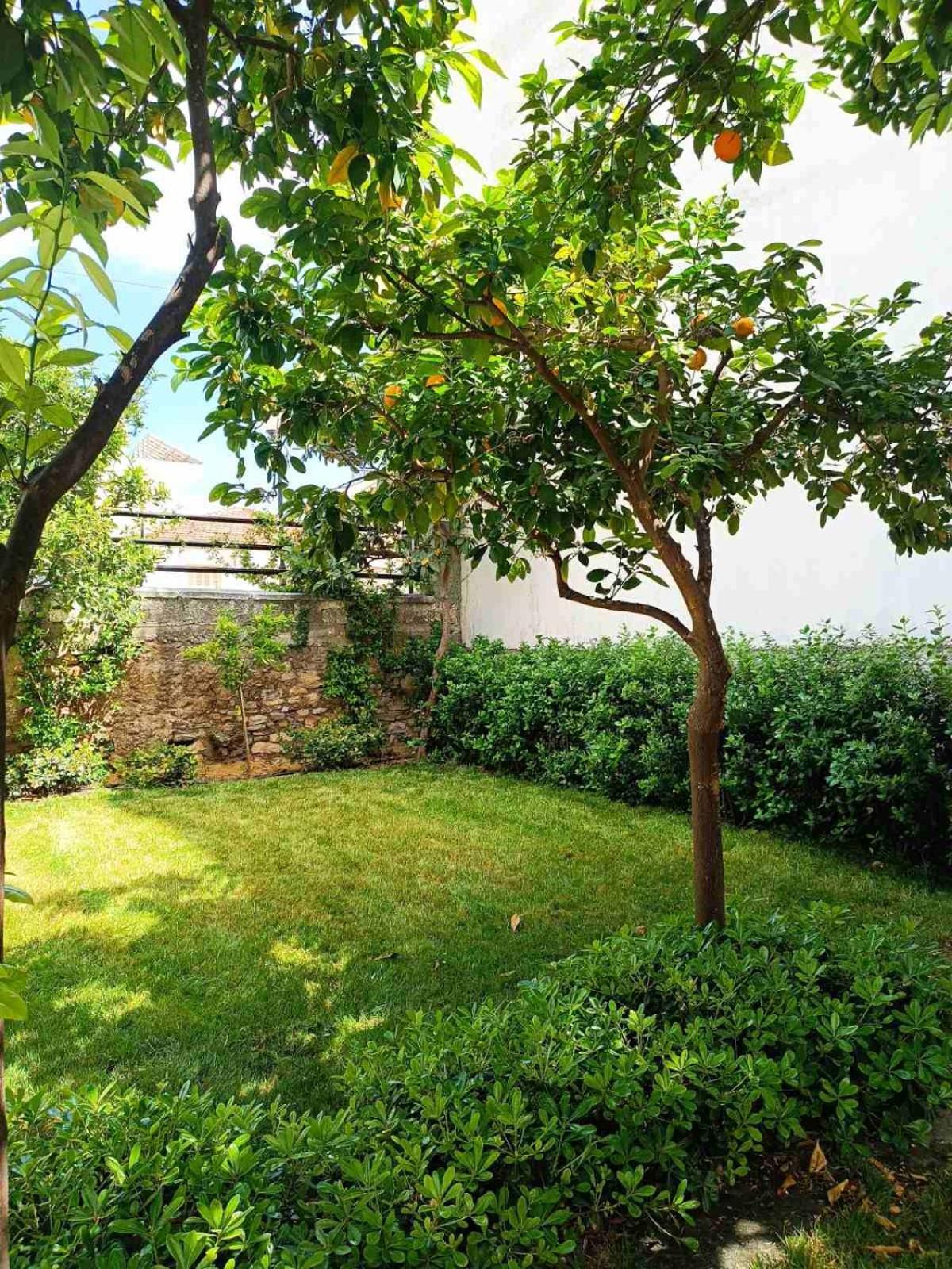 Betty'S Garden House Villa Nea Anchialos Exterior photo