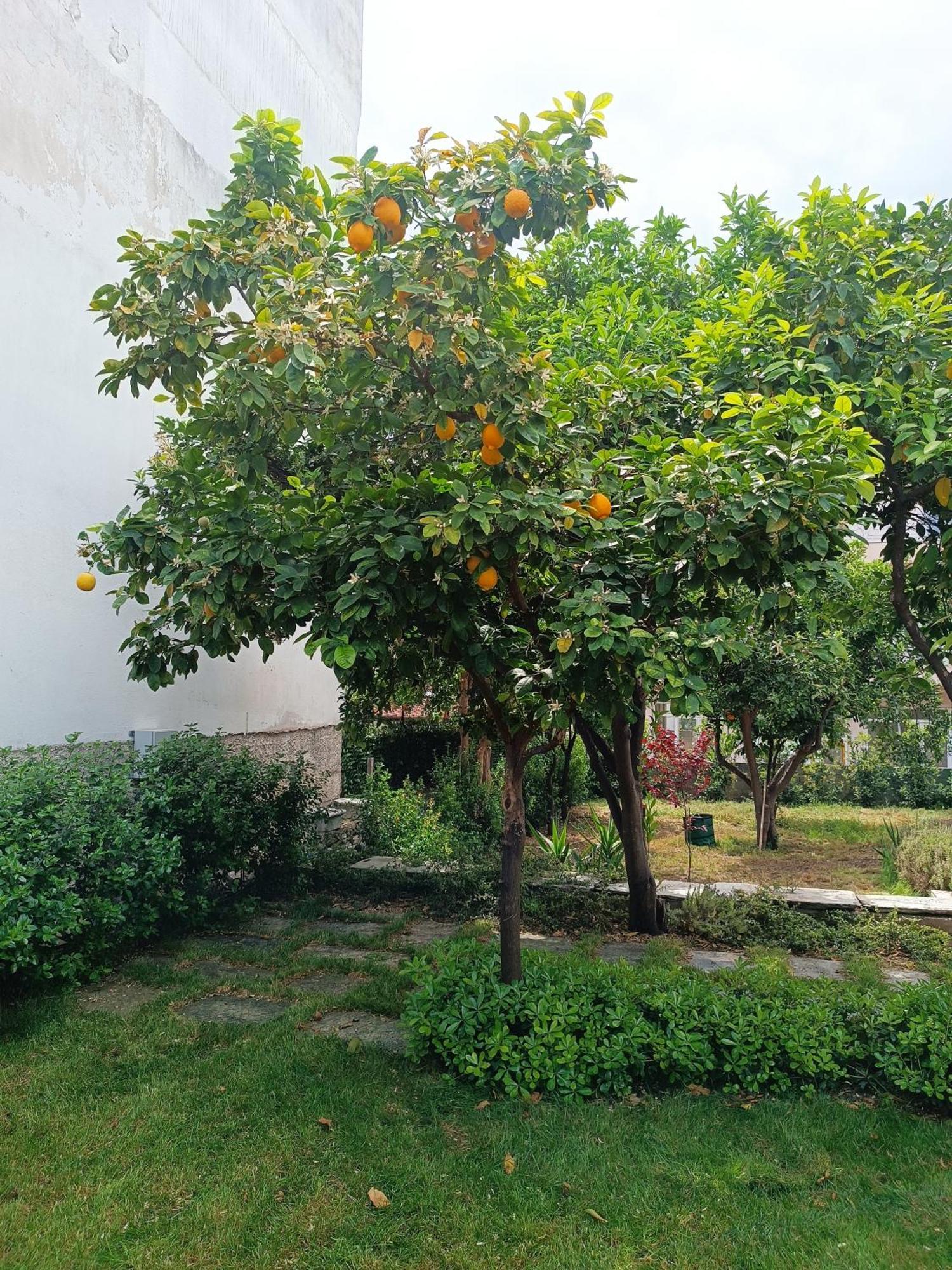 Betty'S Garden House Villa Nea Anchialos Room photo